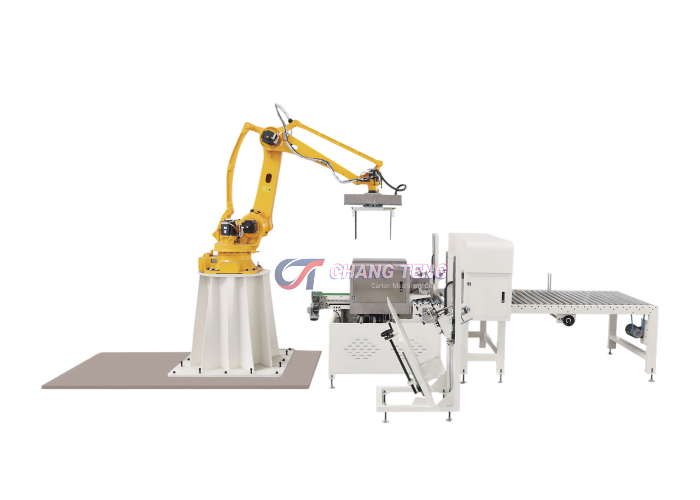 Automatic Case Palletizer