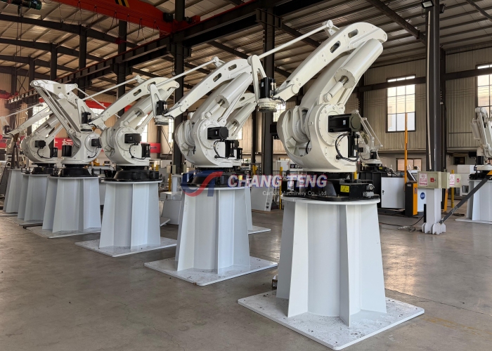 Robotic Carton Palletizer(images 3)
