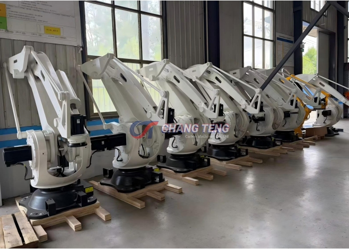 Robotic Carton Palletizer(images 2)